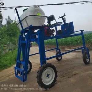 ����ʽ������ҩ������С���ҩ�� 15�������8��