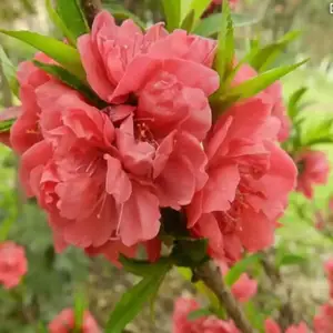 ���۰����һ����� �һ��������� �羰���������� �����辰�һ�����