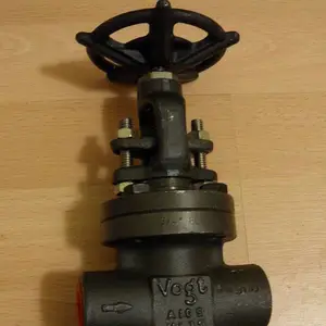 VogtValves (����Ʒ��) Vogt����ֹ�ط�