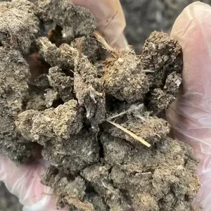 新乡芝麻饼肥厂家河南生物有机肥使用要点