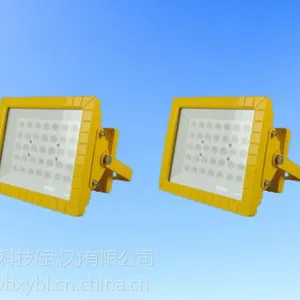 ������100W����Ͷ��糧����100WLED����Ͷ���