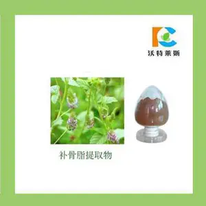 ����֬��ȡ��10:1 ����֬�� 1kg�� ���� ***