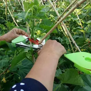 ֦���̶�԰������� �����ϼܰ����������֦��