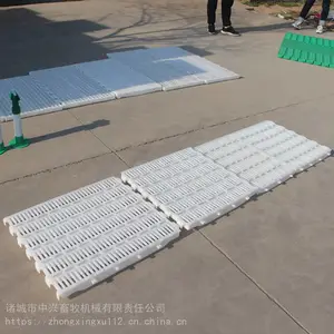 ������������©��� ����©���� �����������Ϸ��
