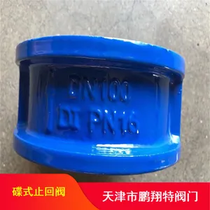 不锈钢蝶式止回阀板_DH77X缓冲微阻止回阀板