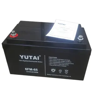 宇泰蓄电池6FM-24阀控密封式铅酸12V24AH/20HR UPS电源配套