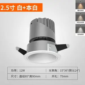 芯鹏达0-10V调光调色DALI涂鸦zgb酒店灯光工程米家智能射灯12W