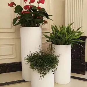 ������ֲ�쾰���⻨���쾰