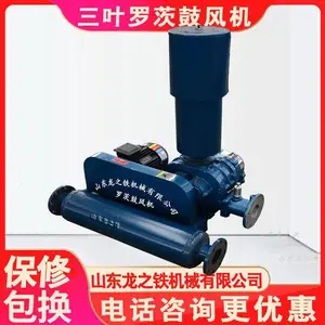 sr150�޴�ʽ�ķ�� ��Ҷ�޴ķ��22kw ΢������������