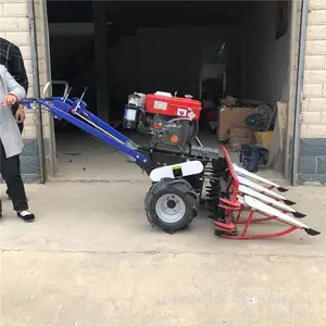 ���������ո���������� ΢�͸������������