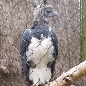 ������������� ������Χ�� ����԰�� Ұ������԰Χ��