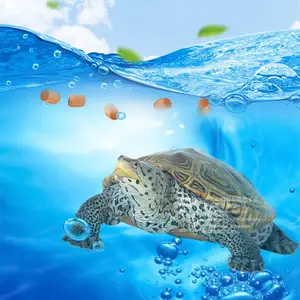 ��Ư��ˮ�������ϼӹ����� ���ڳ������������