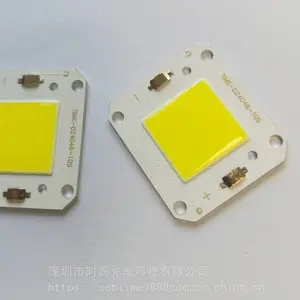 供应LED投光灯光源、COB光源,加工定制(工厂直销)