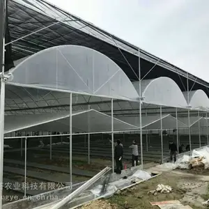黑龙江连栋大棚 哈尔滨薄膜连栋温室 齐齐哈尔温室大棚 山东贝塔农业