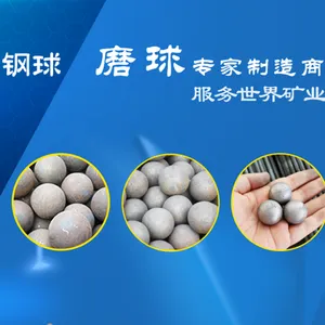 山东华民钢球股份有限公司