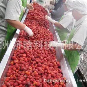 ��÷֭��,��÷���豸,��÷ԭ�������豸,��÷Ũ��֭�ӹ�������