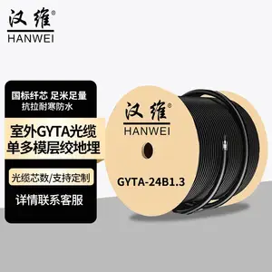 汉维 （HANWEI) 光缆室外光纤线地埋 GYTA/S24芯光缆 1米