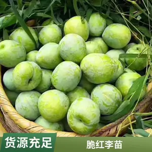 �ѹ����� �޽����������޽�һ�Ź������������������������