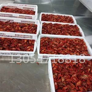 盒装小龙虾清洗卤煮 冷却线 龙虾单筒筛选分级设备 小龙虾预煮设备促销