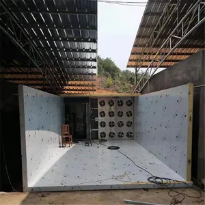 ��������Ƭ��ɻ� С������Ƭ����� ����ȳ�