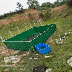 水产养殖新科技工厂化帆布水池效益好反季节收成大虾上市