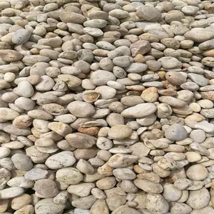 变电站鹅卵石 变压器鹅卵石 荣茂厂家批发