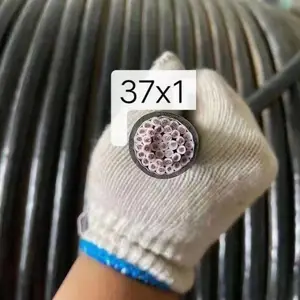 ���ݴ���������RVVSP
