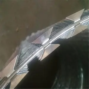 �ȶ�п��Ƭ����ѧУ����Χǽ����������Ƭ��������Ƭ����˿��