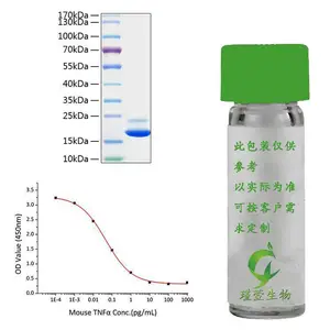 活性重组蛋白鼠源TNFSF2 Recombinant Mouse TNF-alpha Protein