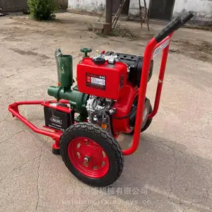 С�Ƴ���3���ѹ�� ũ��˫Ҷ�ֲ������ı� 195��������������