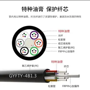 �����Ƽ� �ǽ���GYFTY-24B1/36B1/48B1/72B1/96B1����