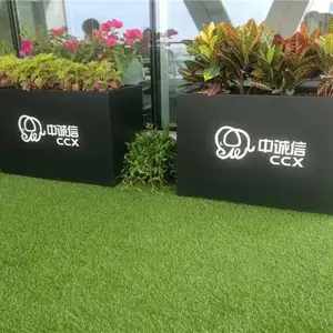 雅淳租花(图)-武汉租花多少钱-武汉租花
