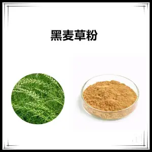 沃特莱斯生物 黑麦草粉 速溶粉 喷雾干燥 可水溶