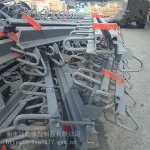 F型桥梁路面伸缩缝规格 大位移桥梁伸缩缝支持定制
