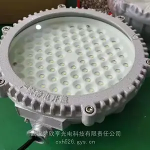 220v交直流防爆吸顶灯 ACDC12V低压24V定做36V集中智能型