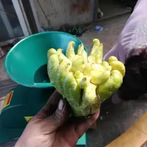 ʥ����������Ƭ�� �๦���ܲ���Ƭ�� ũ�õعϺ�����Ƭ��