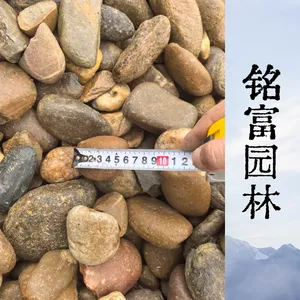 5-8公分电力垫层鹅卵石 变压器油坑鹅卵石 抗压耐磨园林造景卵石