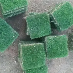 ����԰�ֲ�Ƥ�۸� ������������Ƥ�������� �����̻���ƺʲô�۸�