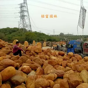 河南许昌黄蜡石水景结合 许昌黄蜡石点缀草坪 许昌黄蜡石鱼池假山