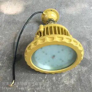 ���Ͻ����BLD110-20gH�ܵ�ʽLED������