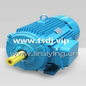 ��˶��� YZS-125-6 10KW-�񶯵��-�����񶯵��