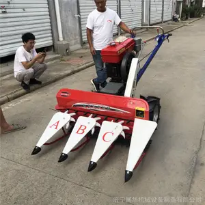 ����С���ո�� ��έ����Ʒ��ɹ�� �ո�һ�ߵ��ո��