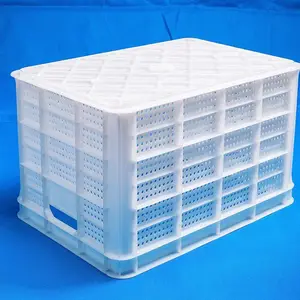 ���������� �ܽ���ת�� ��ɫ�ִ���ת�� PEȫ����