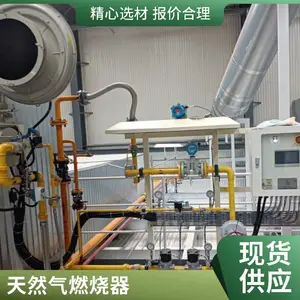 岱鼎 500万大卡天然气 低氮燃烧器 支持定制 规格齐全 维护保养