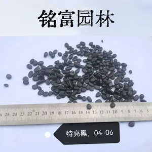 广 东黑色鹅卵石厂家 天然黑色砾石 水处理过滤园林铺面石子