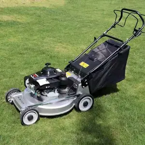 ʯ��ׯ������ʽ�����ƺ������20��18��