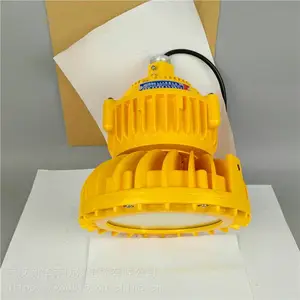 华荣 机房LED防爆灯60w 炼化厂LED防爆灯40w 价格优惠