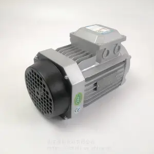 ����3KW��ʽB14 YE3-100L2-4B14�������������첽�綯��
