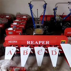��ĸ��ƽ���Ƭ�� �����������ɰ��ݸ�ɹ�� ��ʥ