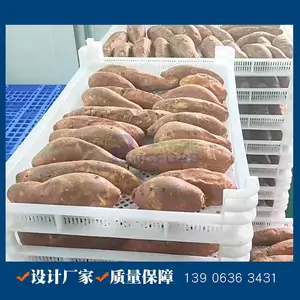 中型地瓜烘烤线 连续红薯烘烤机 鹏福特定制款蜜薯烘烤设备图片